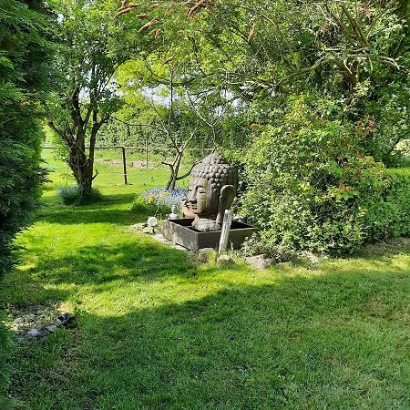 Un Petit Coin De Paradis 2 Clairfontaine Zewnętrze zdjęcie